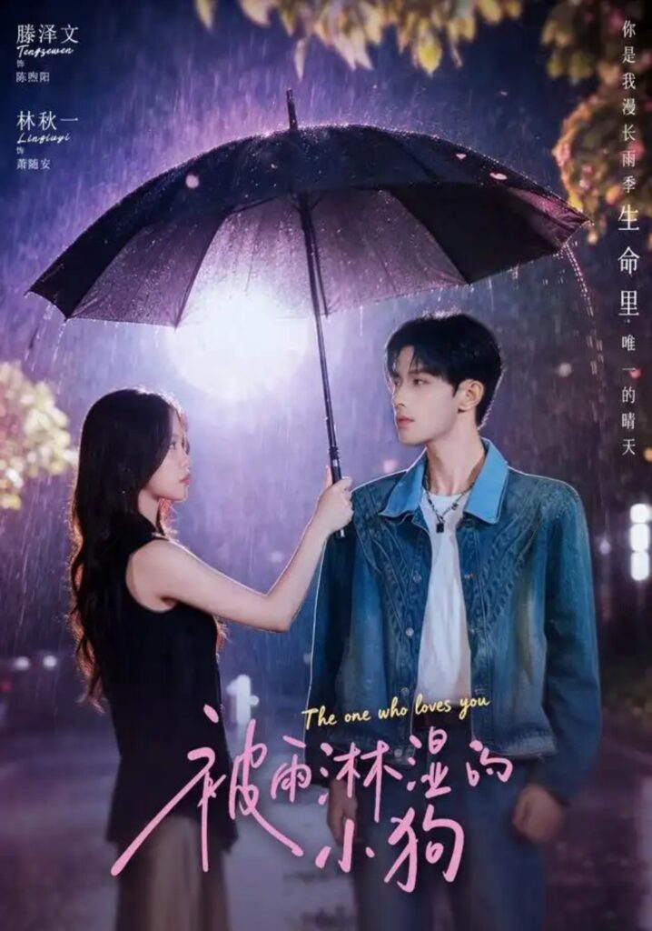 《被雨淋湿的小狗》短剧全集完整版免费观看