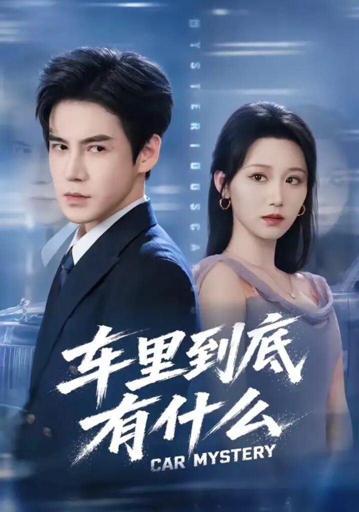 《车里到底有什么》短剧全集完整版免费观看-看电影短剧网