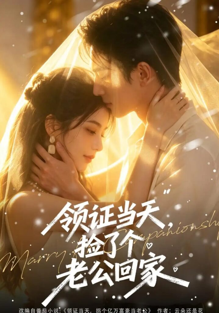《领证当天，捡了个老公回家》短剧全集完整版免费观看
