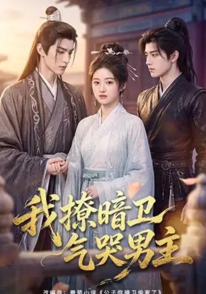 《我撩暗卫气哭男主》短剧全集完整版免费观看-看电影短剧网