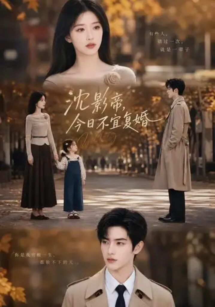 《沈影帝,今日不宜复婚》短剧全集完整版免费观看-看电影短剧网