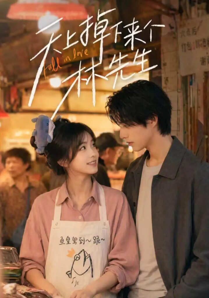 《天上掉下来个林先生》短剧全集完整版免费观看-看电影短剧网