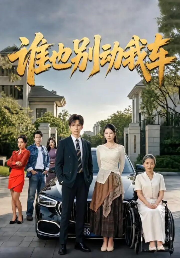 《谁也别动我车》短剧全集完整版免费观看-看电影短剧网