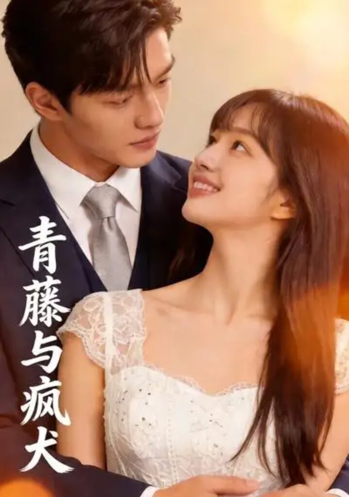 《青藤与疯犬》短剧全集完整版免费观看-看电影短剧网