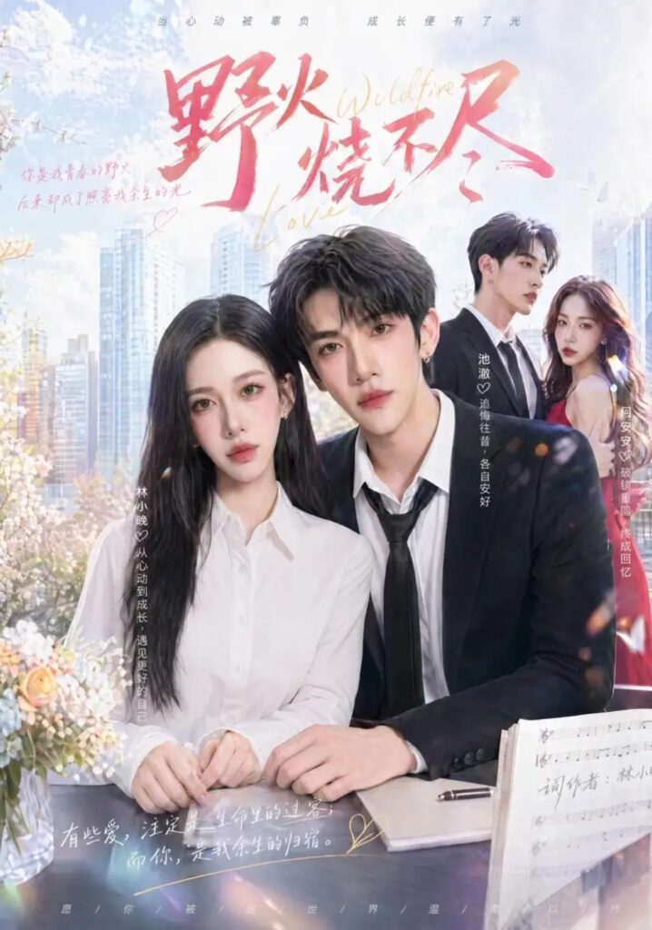 《野火烧不尽》短剧全集完整版免费观看-看电影短剧网