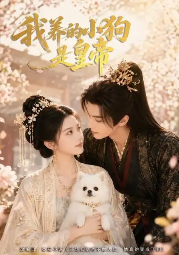 《我养的小狗是皇帝》短剧全集完整版免费观看-看电影短剧网