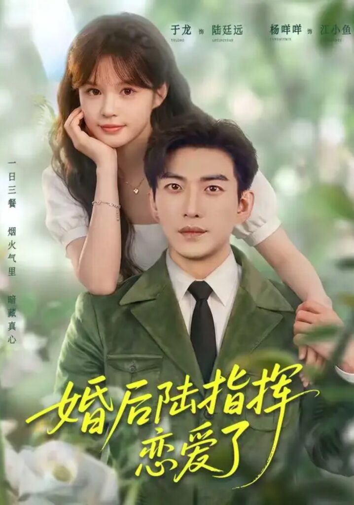 《婚后陆指挥沦陷了》短剧全集完整版免费观看-看电影短剧网