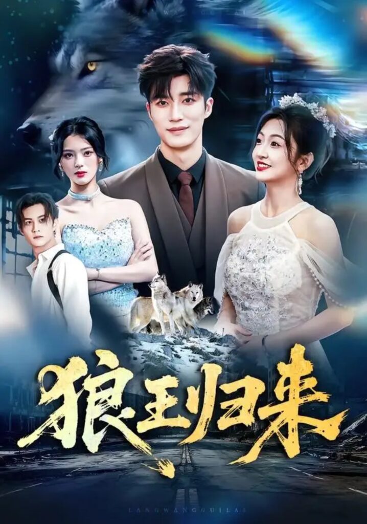 《狼王归来》短剧全集完整版免费观看-看电影短剧网
