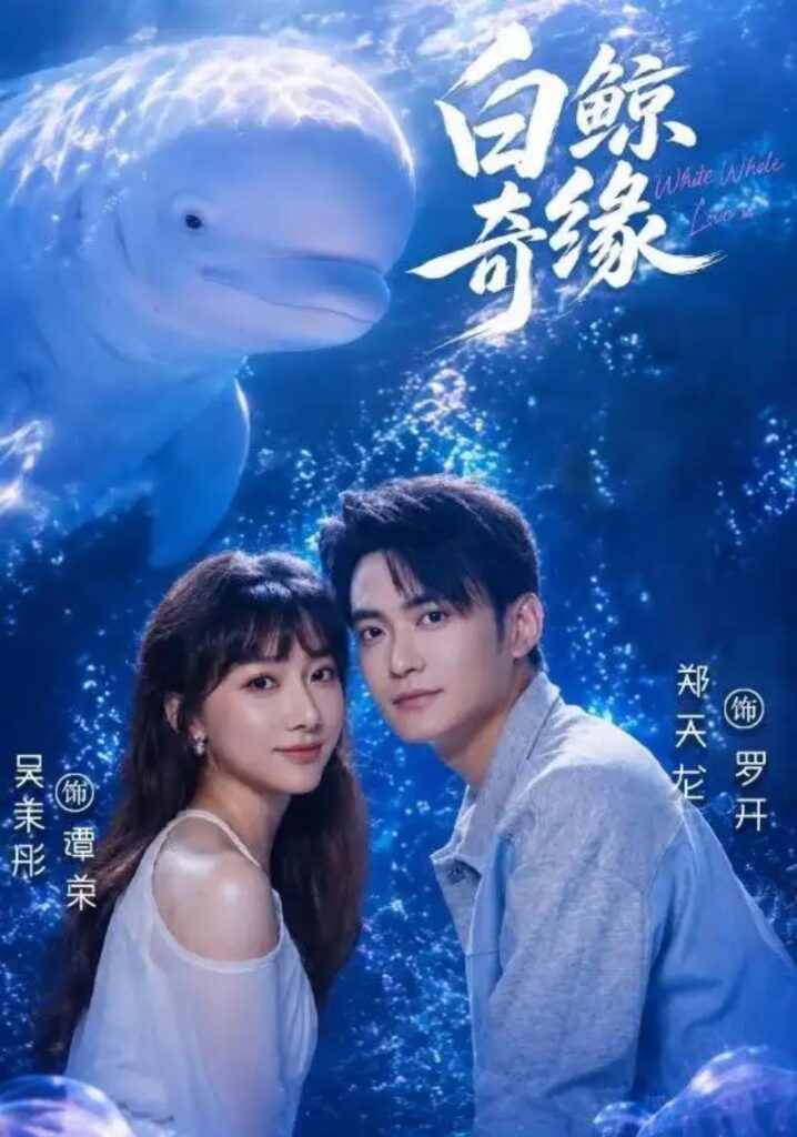 《白鲸奇缘》短剧全集完整版免费观看-看电影短剧网