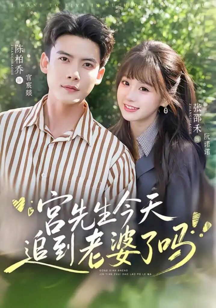 《宫先生今天追到老婆了吗》短剧全集完整版免费观看-看电影短剧网