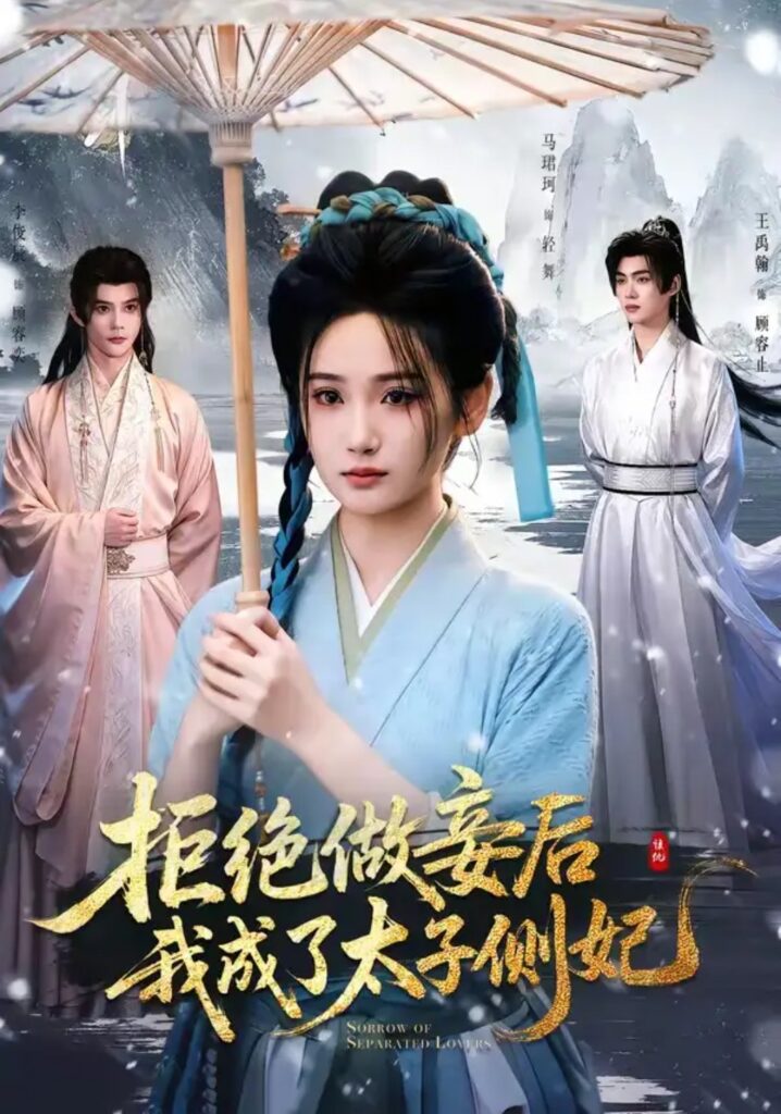 《拒绝做妾后我成了太子侧妃&一纸离人愁》短剧全集完整版免费观看-看电影短剧网