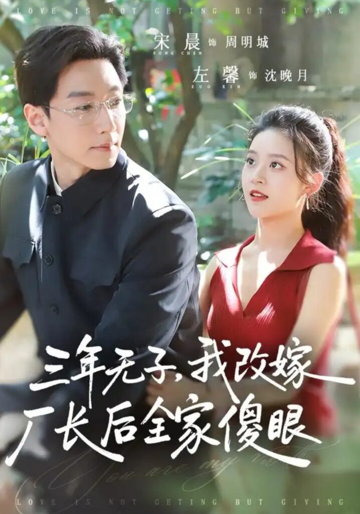 《三年无子,我改嫁厂长后全家傻眼了》短剧全集完整版免费观看-看电影短剧网