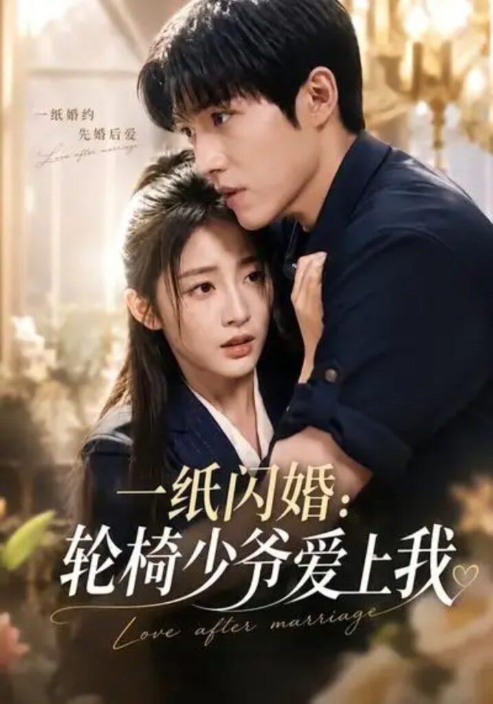 《一纸闪婚：轮椅少爷爱上我》短剧全集完整版免费观看