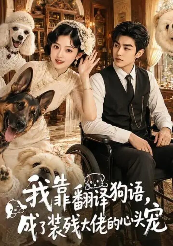 《我靠翻译狗语,成了装残大佬的心尖宠》短剧全集完整版免费观看-看电影短剧网