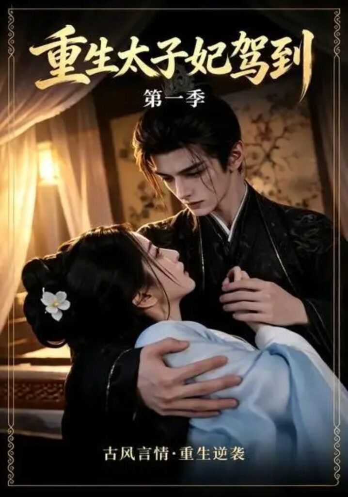 《重生太子妃驾到第一季》短剧全集完整版免费观看-看电影短剧网