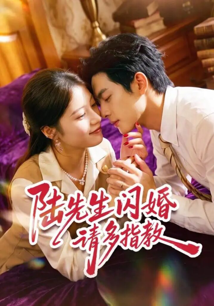 《陆先生闪婚请多指教》短剧全集完整版免费观看-看电影短剧网