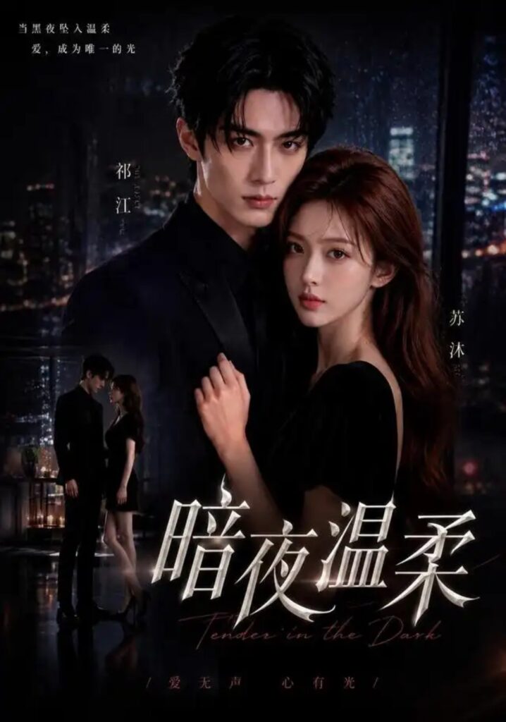 《暗夜温柔》短剧全集完整版免费观看-看电影短剧网