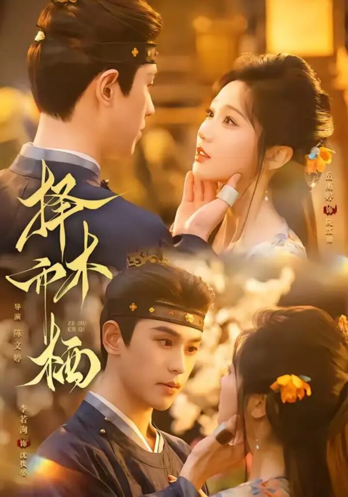 《择木而栖》短剧全集完整版免费观看