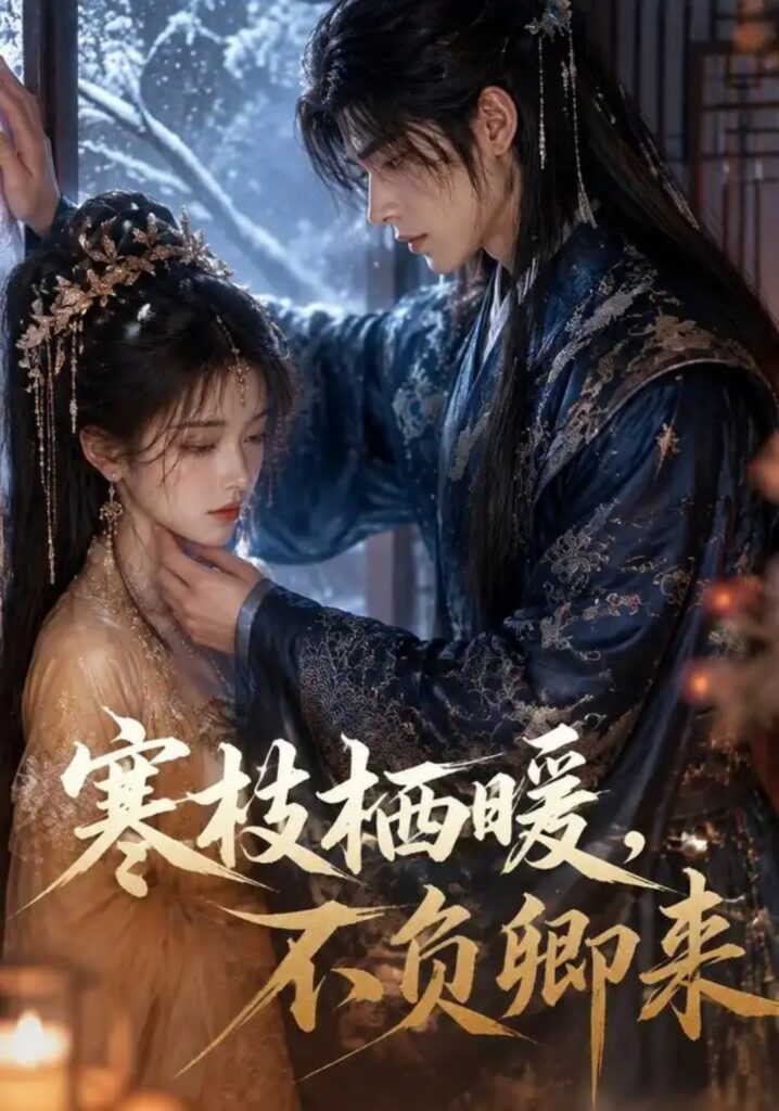 《寒枝栖暖,不负卿来》短剧全集完整版免费观看-看电影短剧网