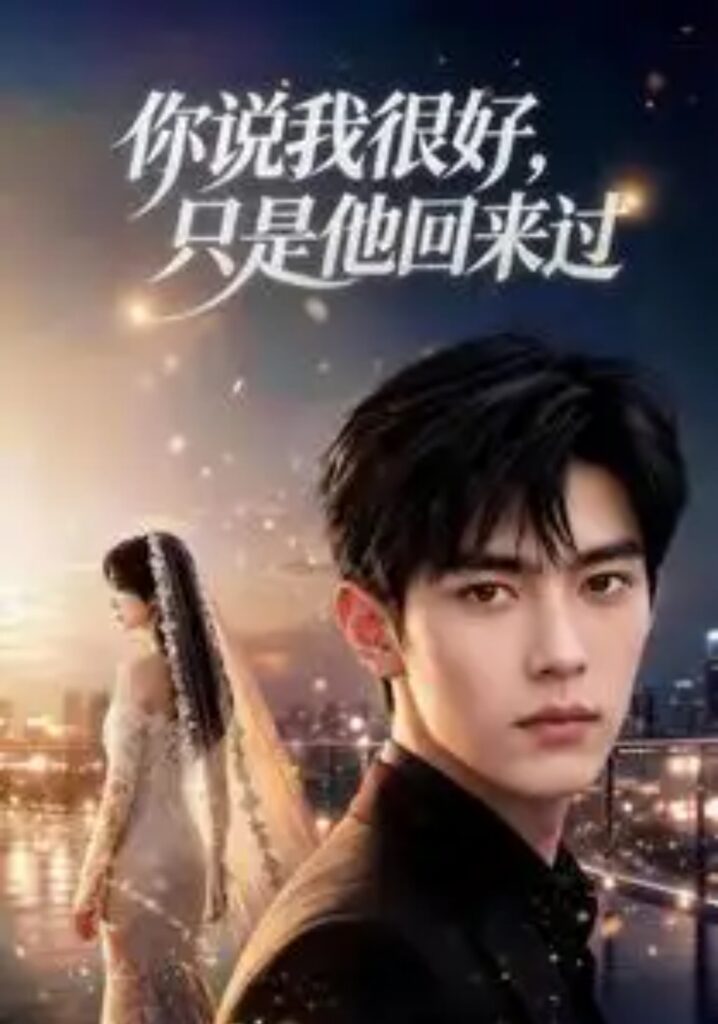《你说我很好,只是他回来过》短剧全集完整版免费观看-看电影短剧网