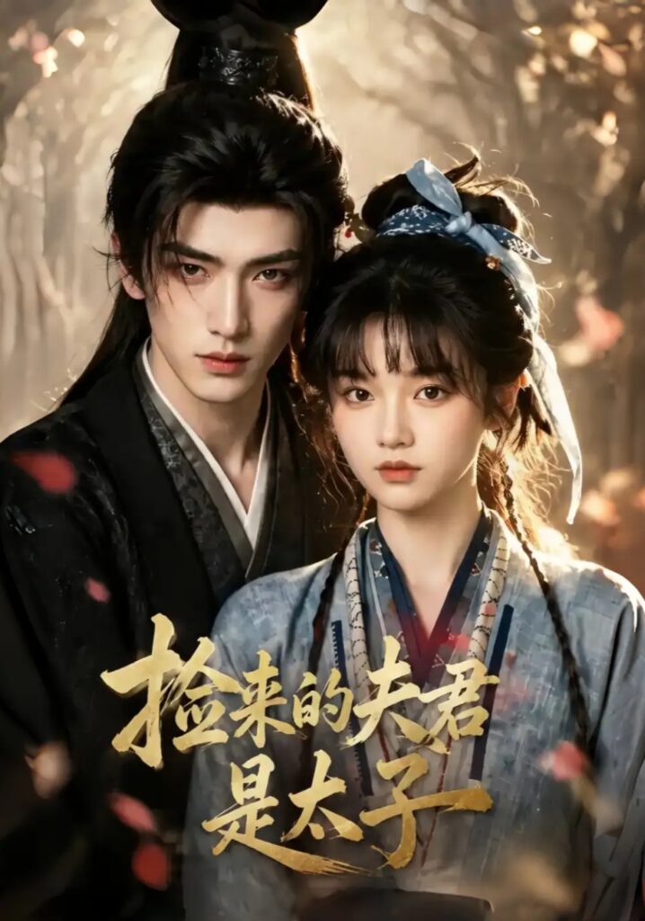《捡来的夫君是太子》短剧全集完整版免费观看-看电影短剧网